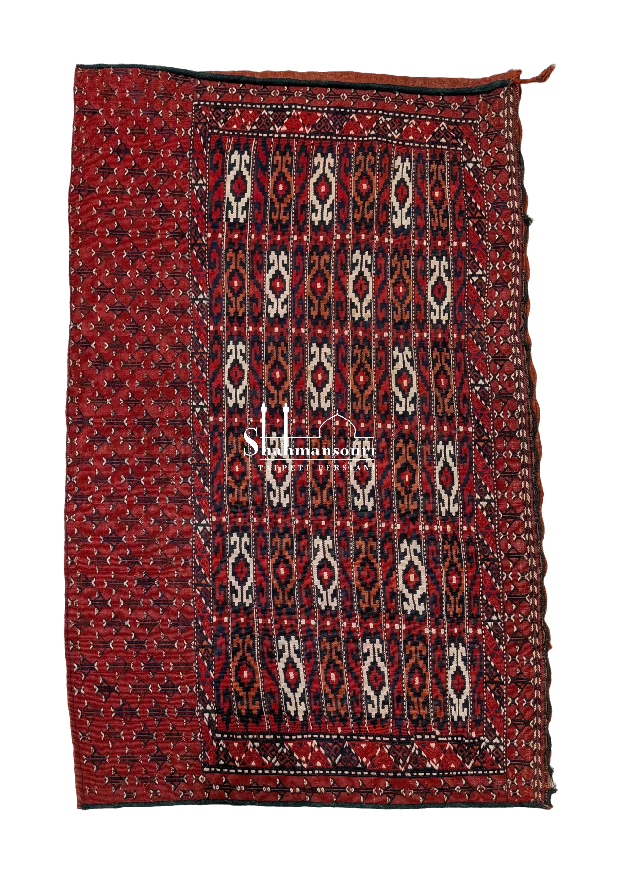 Cuscino Turkmeno, vista principale