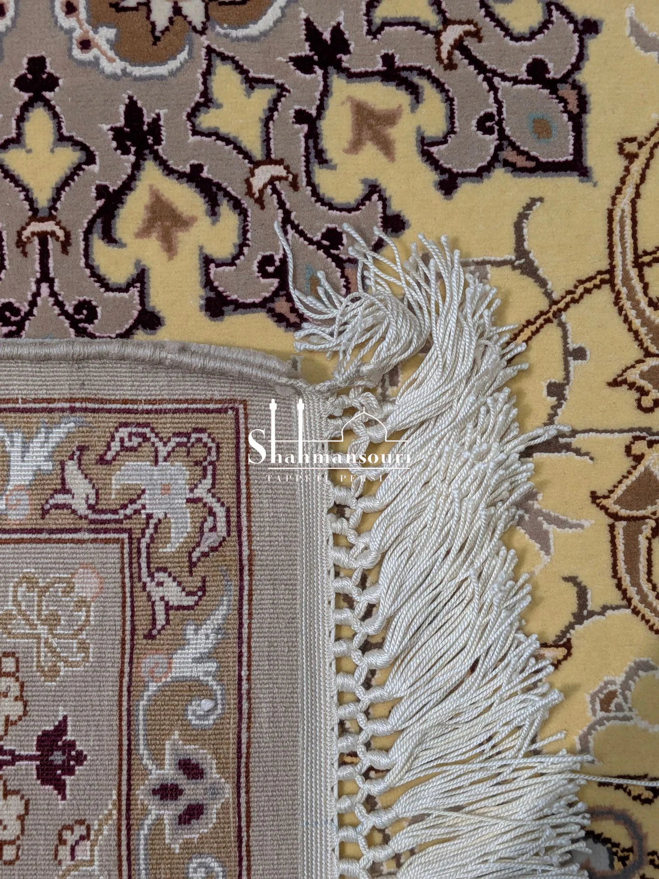 Isfahan, vista principale - dettaglio 4