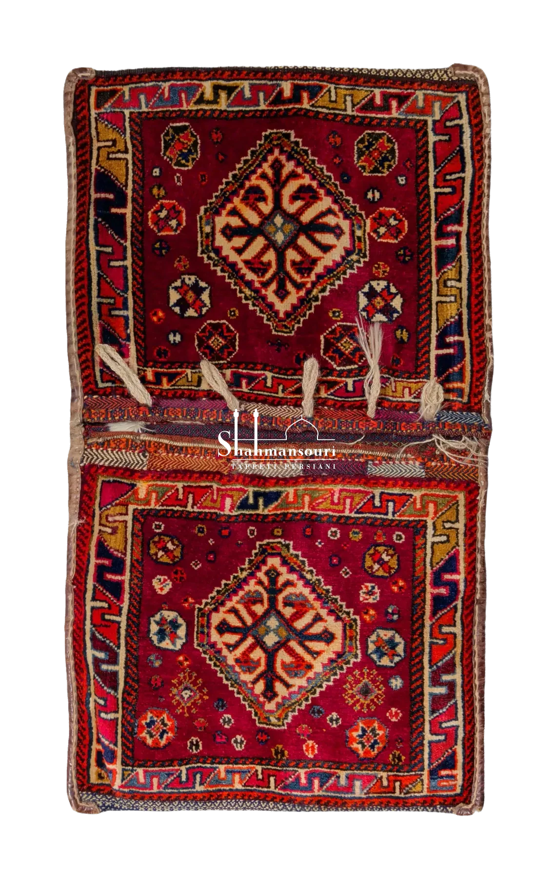 Qashqai persiano a due pannelli rossi con medaglioni romboidali chiari, rosette policrome e bordure geometriche.