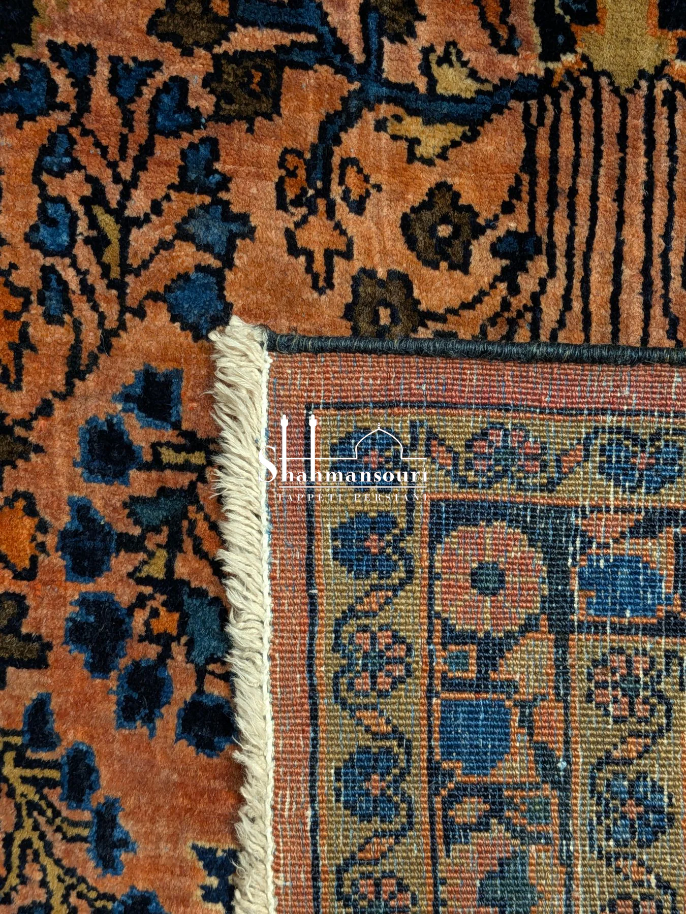 Saruk, vista principale - dettaglio 3